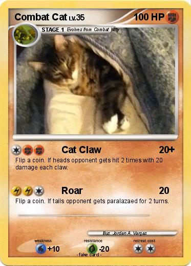 Pokemon Combat Cat