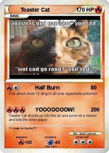 Pokemon Toaster Cat