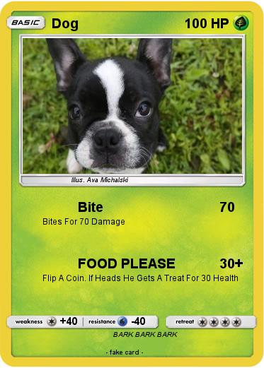 Pokemon Dog