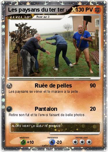 Pokemon Les paysans du ter ter