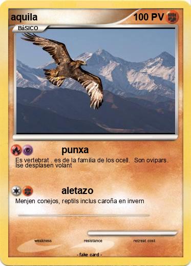 Pokemon aquila