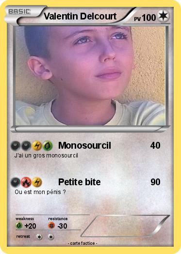 Pokemon Valentin Delcourt