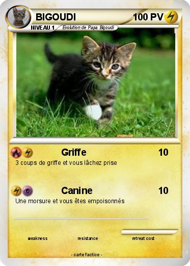 Pokemon BIGOUDI