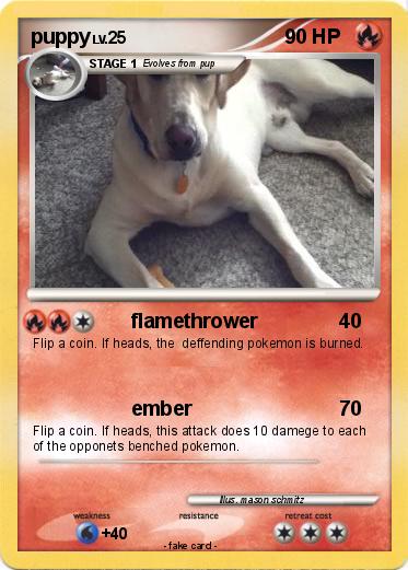 Pokemon puppy