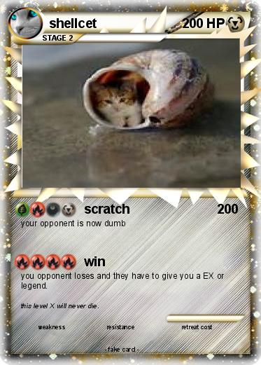 Pokemon shellcet