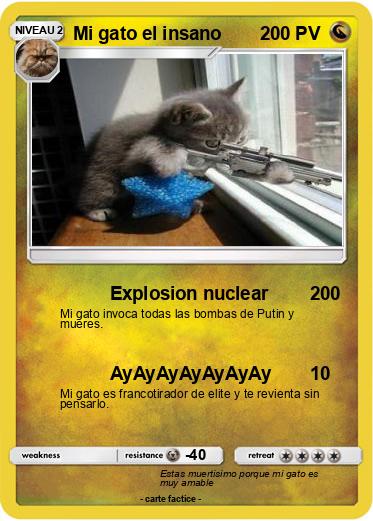 Pokemon Mi gato el insano