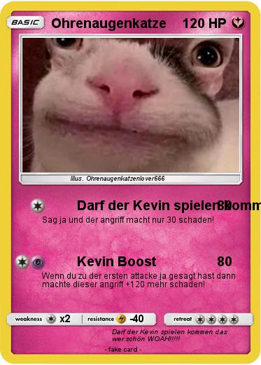 Pokemon Ohrenaugenkatze