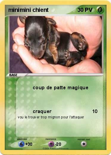 Pokemon minimini chient