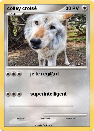 Pokemon colley croisé