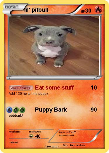 Pokemon lil' pitbull