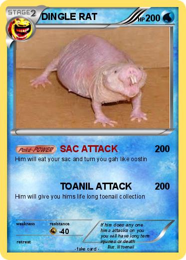 Pokemon DINGLE RAT