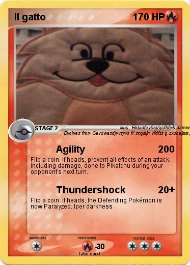 Pokemon Il gatto