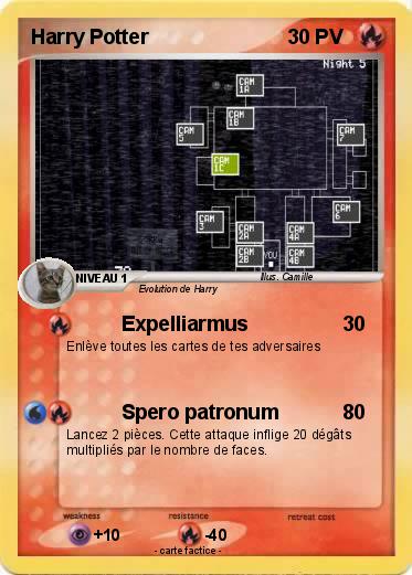 Pokemon Harry Potter