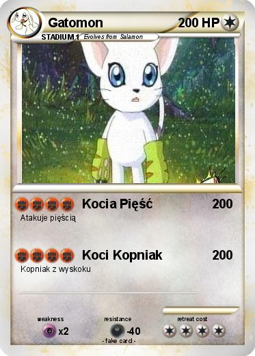 Pokemon Gatomon