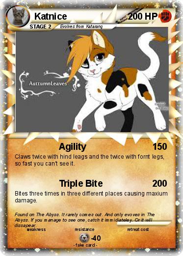 Pokemon Katnice