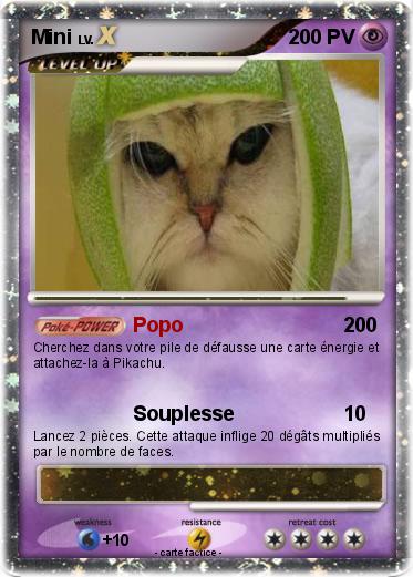 Pokemon Mini