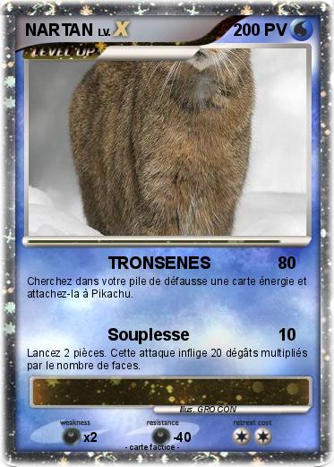 Pokemon NARTAN