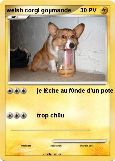 Pokemon welsh corgi goµmande