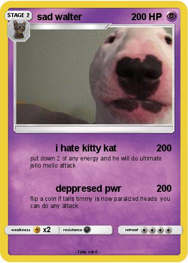 Pokemon sad walter