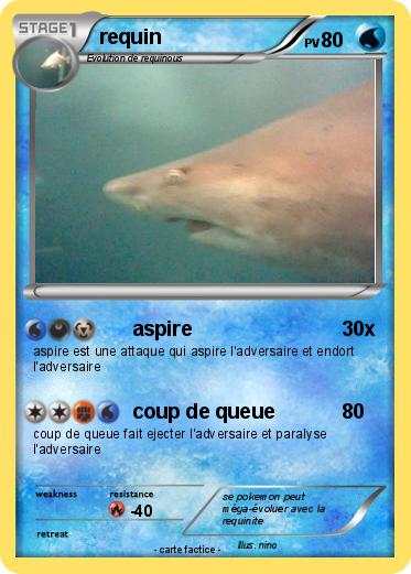 Pokemon requin