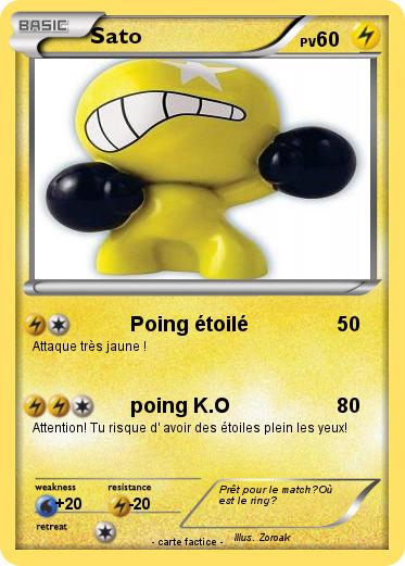 Pokemon Sato