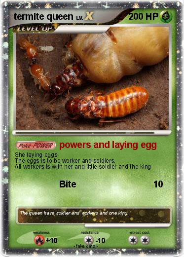 Pokemon termite queen