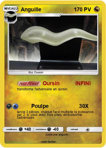Pokemon Anguille