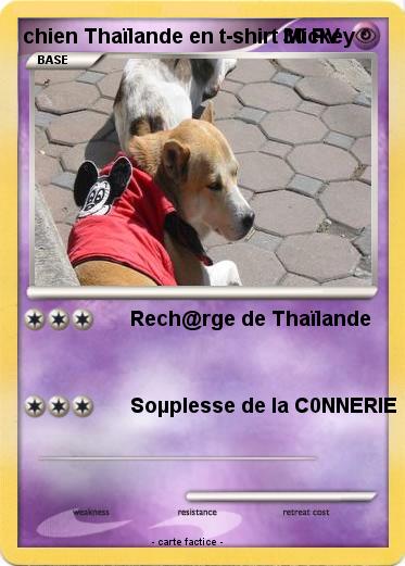 Pokemon chien Thaïlande en t-shirt Mickey