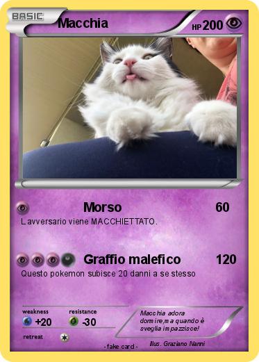 Pokemon Macchia