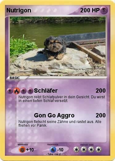 Pokemon Nutrigon