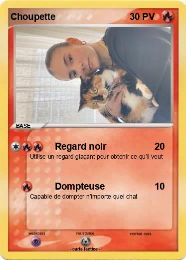 Pokemon Choupette