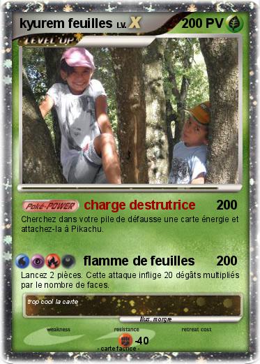 Pokemon kyurem feuilles