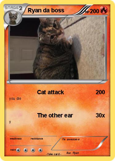 Pokemon Ryan da boss