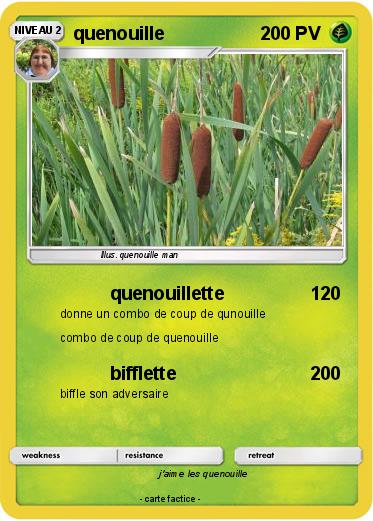 Pokemon quenouille