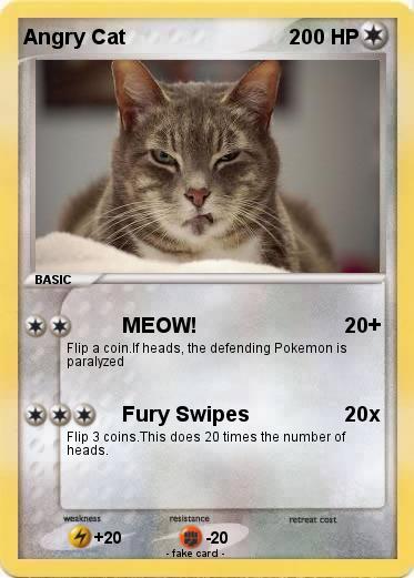 Pokemon Angry Cat