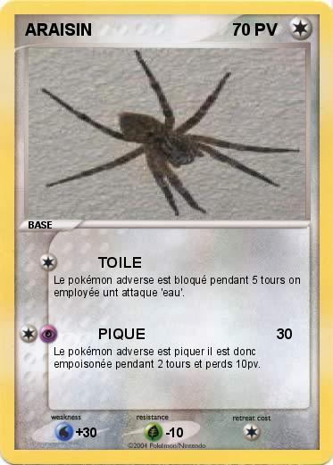 Pokemon ARAISIN