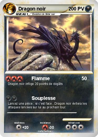 Pokemon Dragon noir