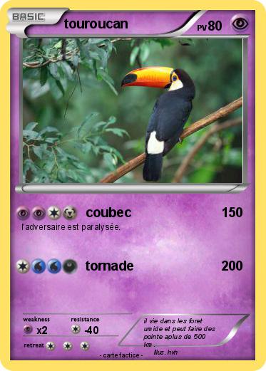 Pokemon touroucan