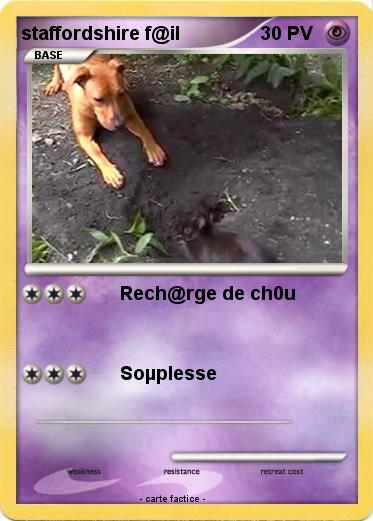 Pokemon staffordshire f@il