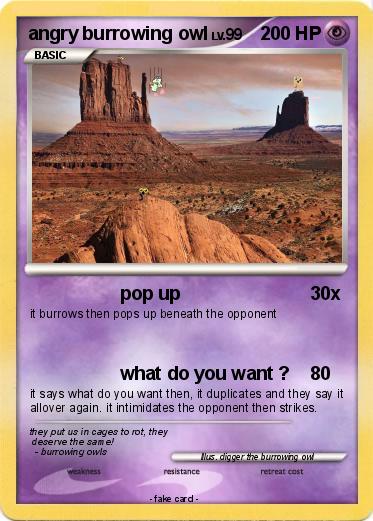 Pokemon angry burrowing owl