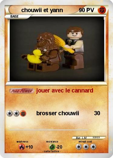 Pokemon chouwii et yann