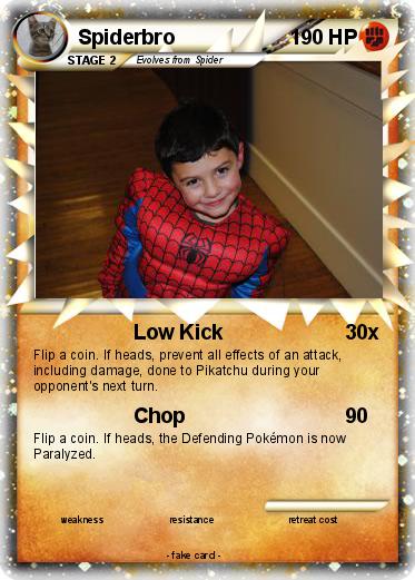 Pokemon Spiderbro