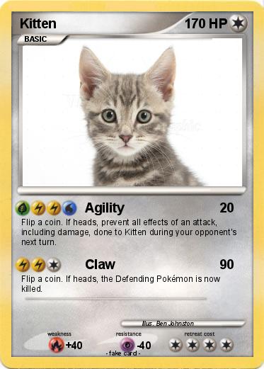 Pokemon Kitten