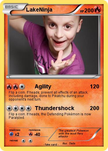Pokemon LakeNinja