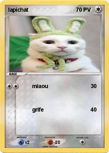 Pokemon lapichat