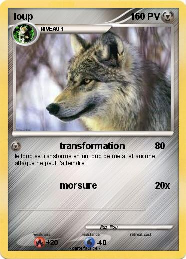 Pokemon loup