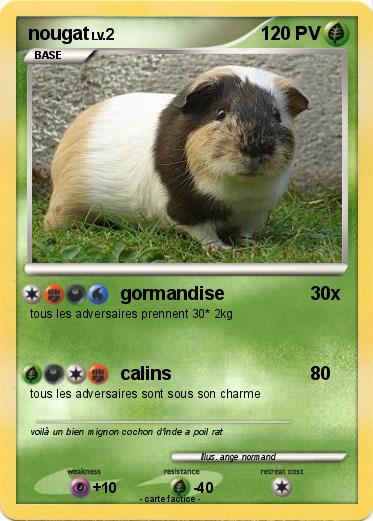 Pokemon nougat