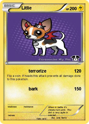 Pokemon Litlie