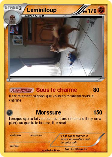 Pokemon Leminiloup