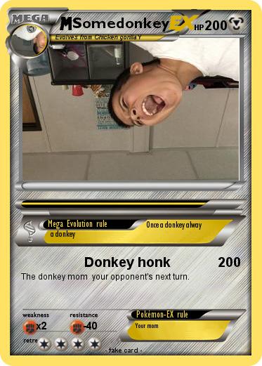 Pokemon Somedonkey